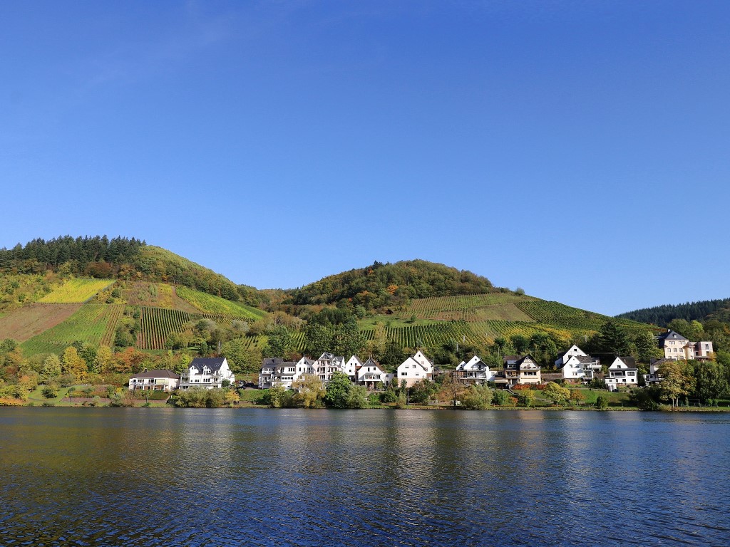 Blick auf Moselufer in Bullay, Königswiese - Urlaub an der Mosel in Ferienhaus Bullay, Königswiese 19, 56859 Bullay (Mosel)